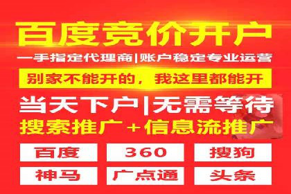 网站SEM托管服务成功案例分享